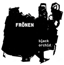 Load image into Gallery viewer, black orchid 210g Soy Wax Candle FRONEN 
